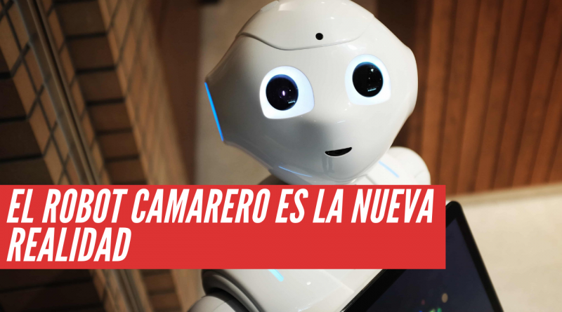 robot camarero